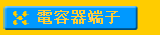 qeݤl