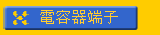 qeݤl